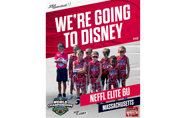 Flag World Championships in Disney